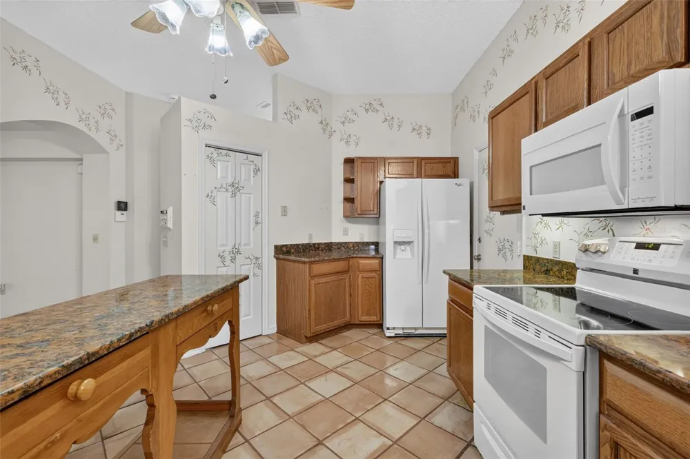 1519 MARTINEZ DRIVE The Villages, FL 32159