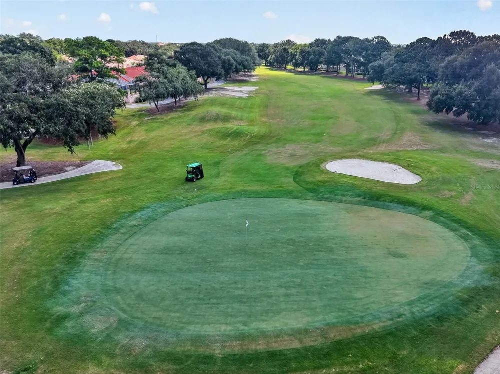 1519 MARTINEZ DRIVE The Villages, FL 32159