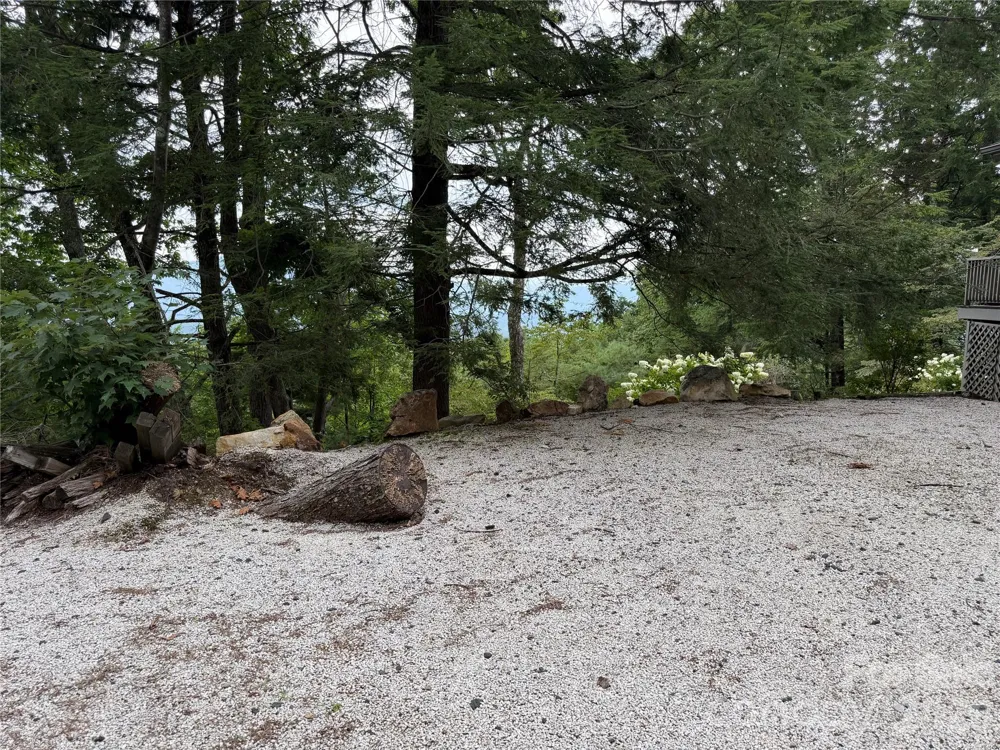 7795 Hwy 226a Highway Little Switzerland, NC 28749