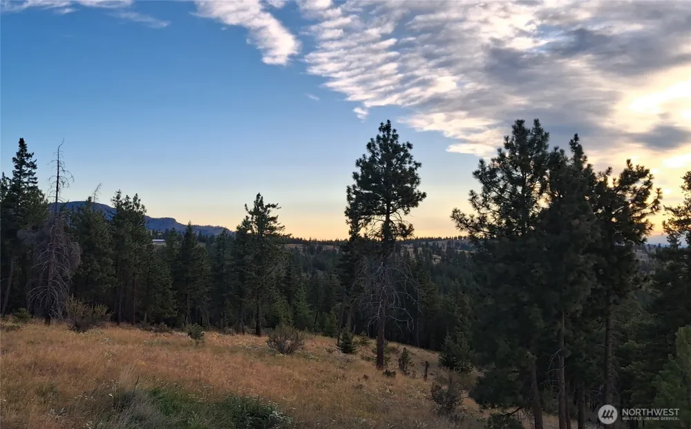 649 Bill Oules Lane Chelan, WA 98816