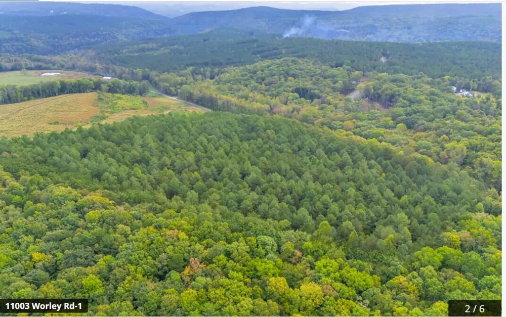 11003 Worley Road Soddy Daisy, TN 37379
