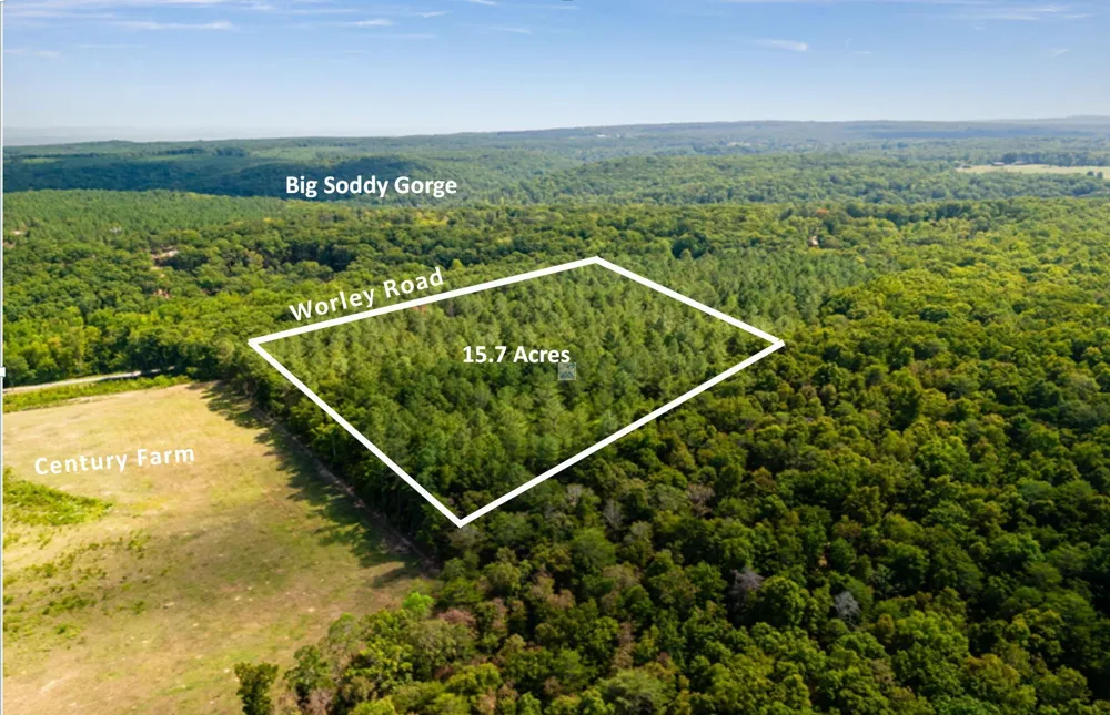 11003 Worley Road Soddy Daisy, TN 37379