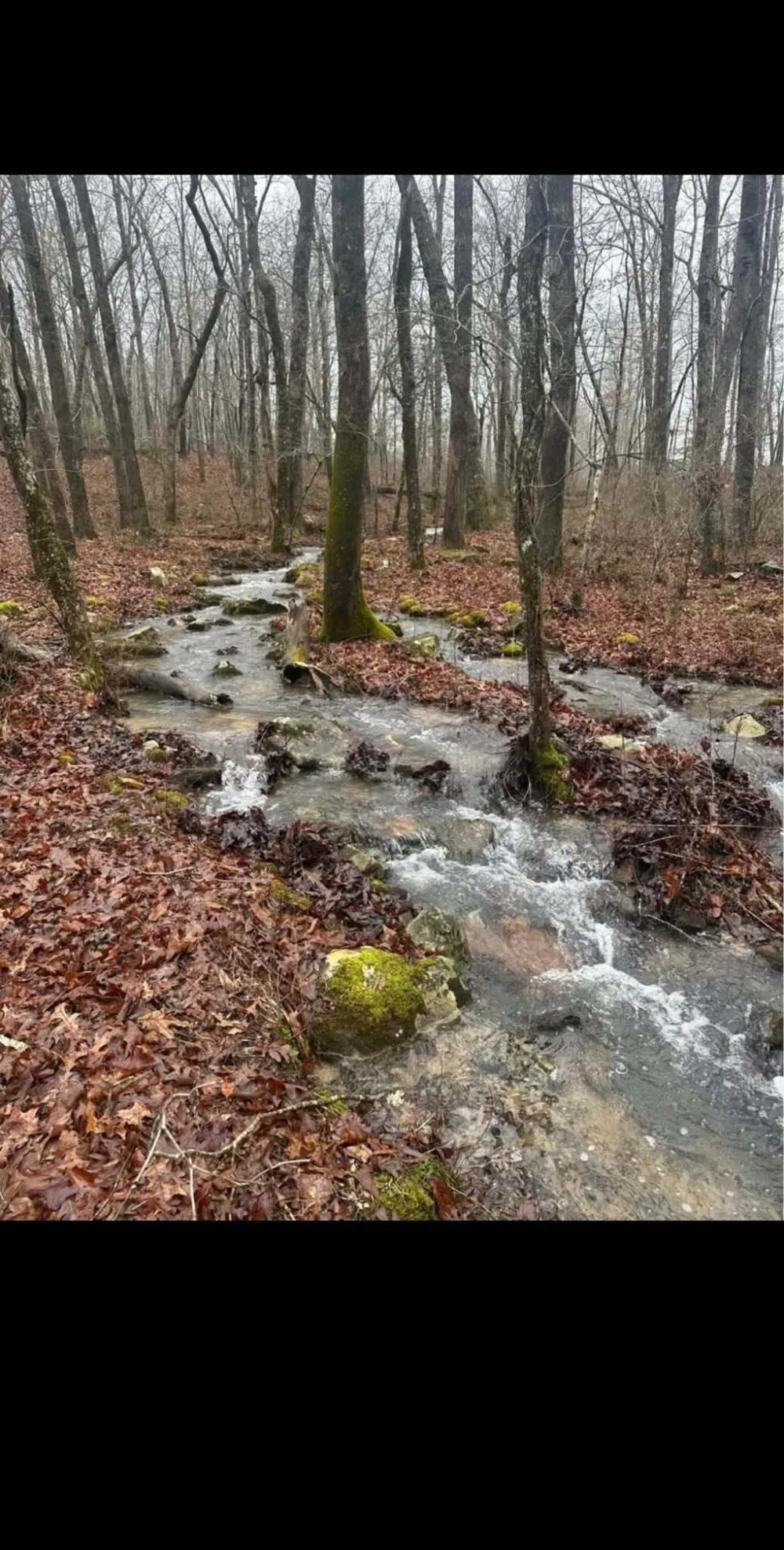 527 Black Mountain Mountain E Dunlap, TN 37327