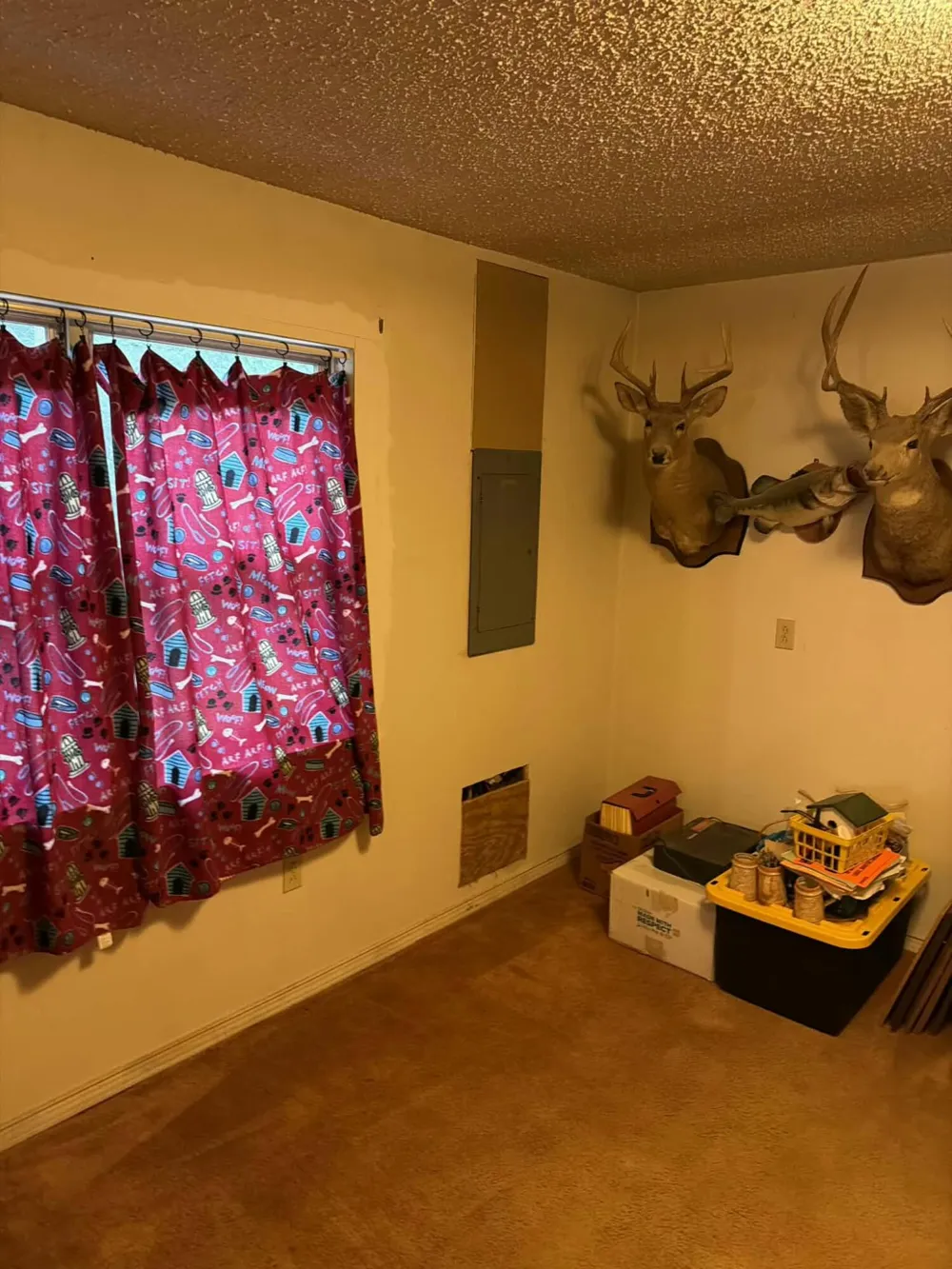 527 Black Mountain Mountain E Dunlap, TN 37327