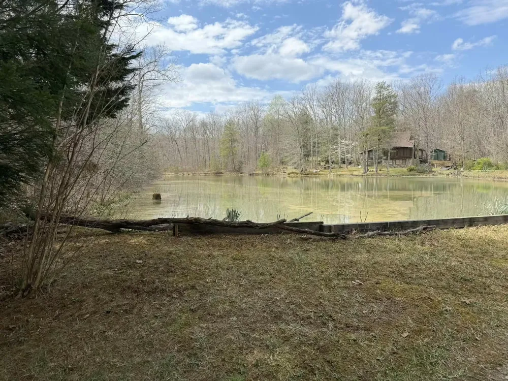 527 Black Mountain Mountain E Dunlap, TN 37327