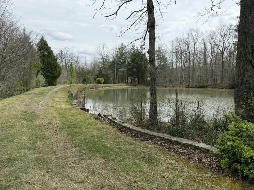 527 Black Mountain Mountain E Dunlap, TN 37327
