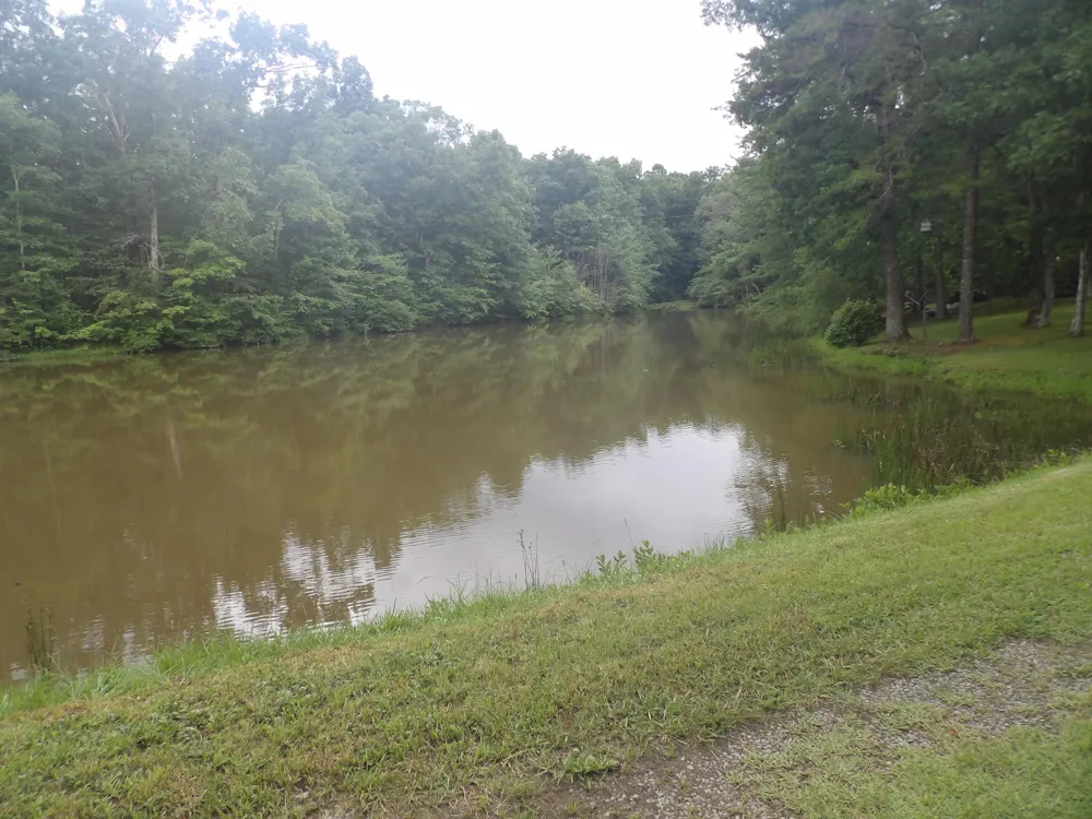 527 Black Mountain Mountain E Dunlap, TN 37327