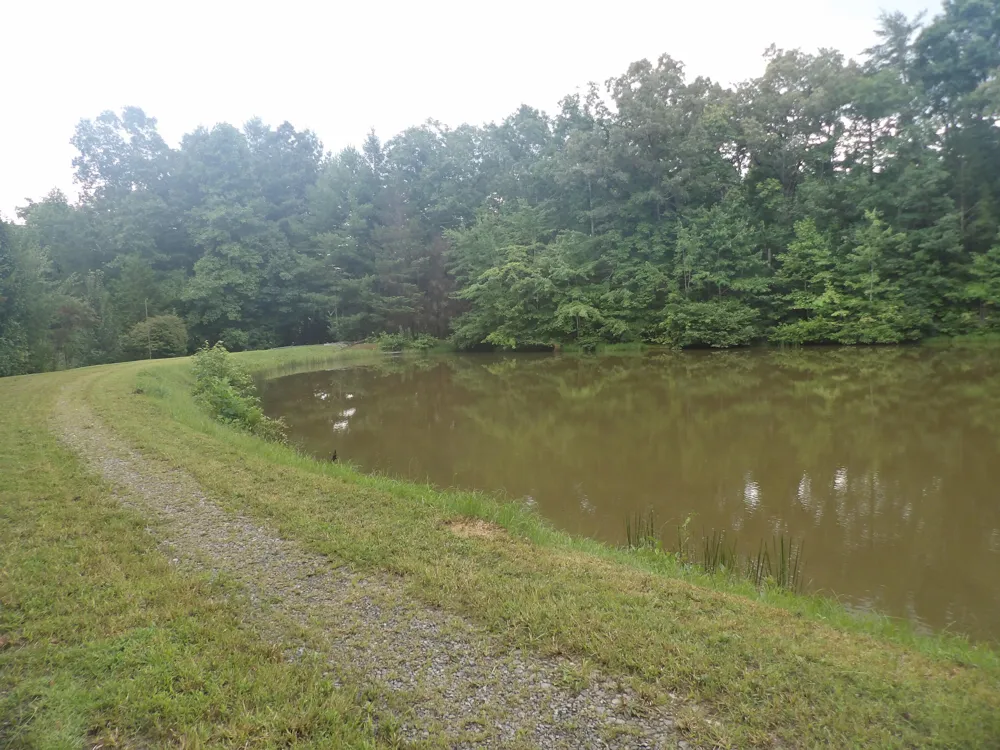 527 Black Mountain Mountain E Dunlap, TN 37327