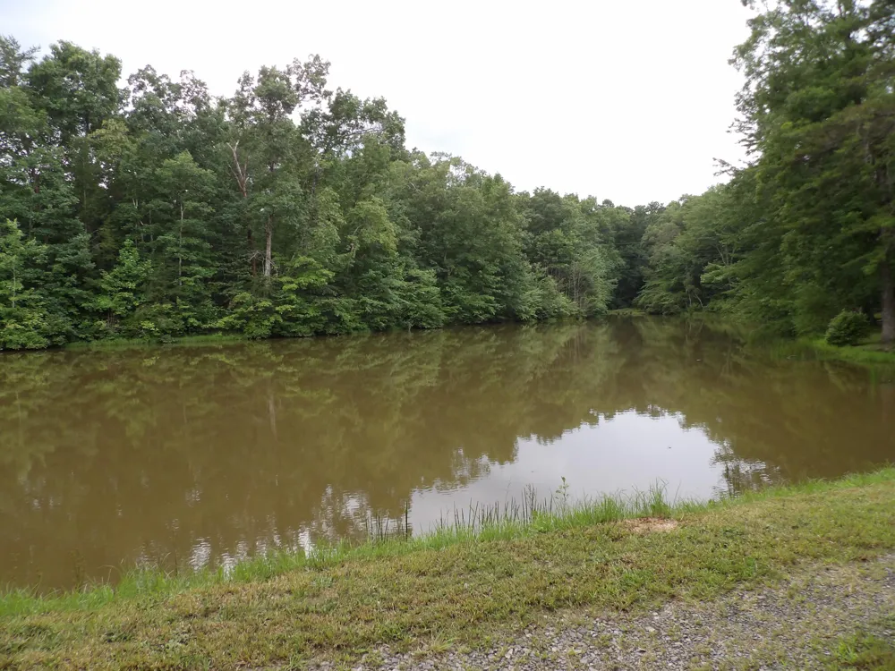 527 Black Mountain Mountain E Dunlap, TN 37327