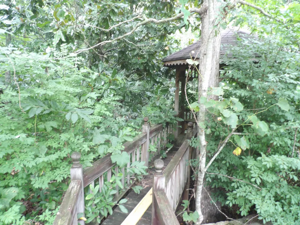 527 Black Mountain Mountain E Dunlap, TN 37327