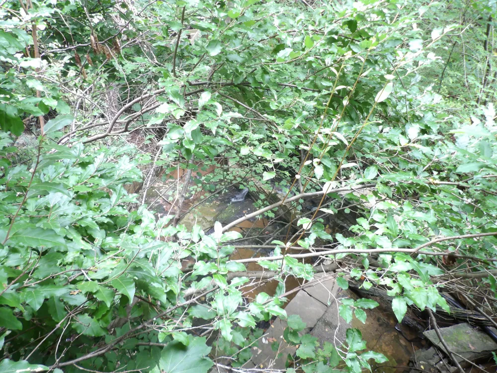 527 Black Mountain Mountain E Dunlap, TN 37327