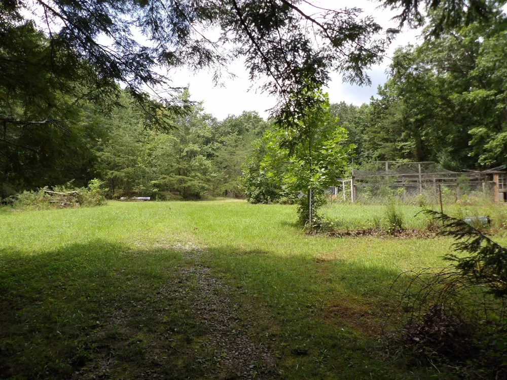 527 Black Mountain Mountain E Dunlap, TN 37327