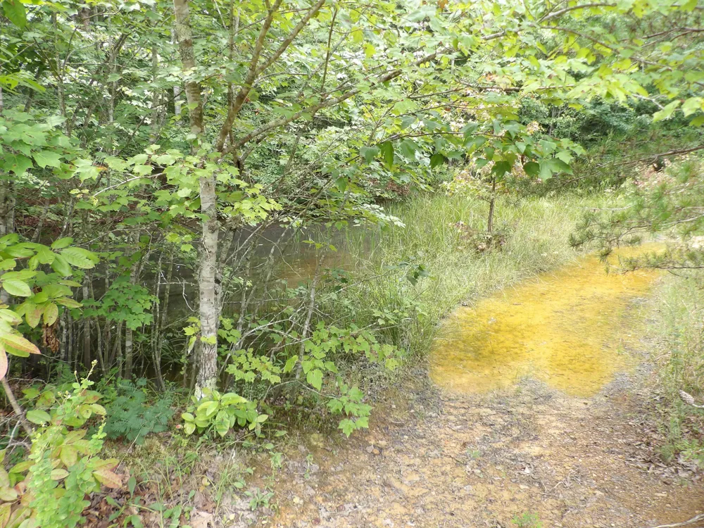 527 Black Mountain Mountain E Dunlap, TN 37327