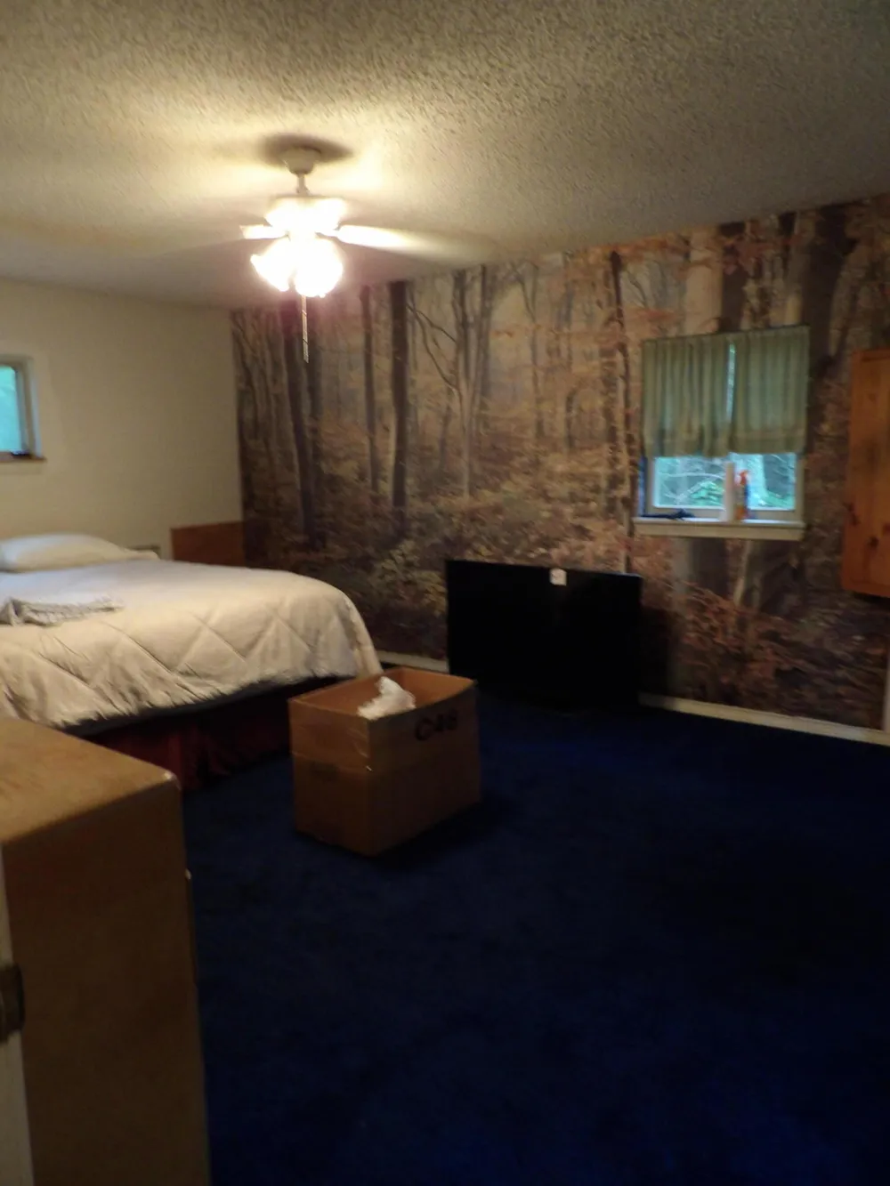 527 Black Mountain Mountain E Dunlap, TN 37327