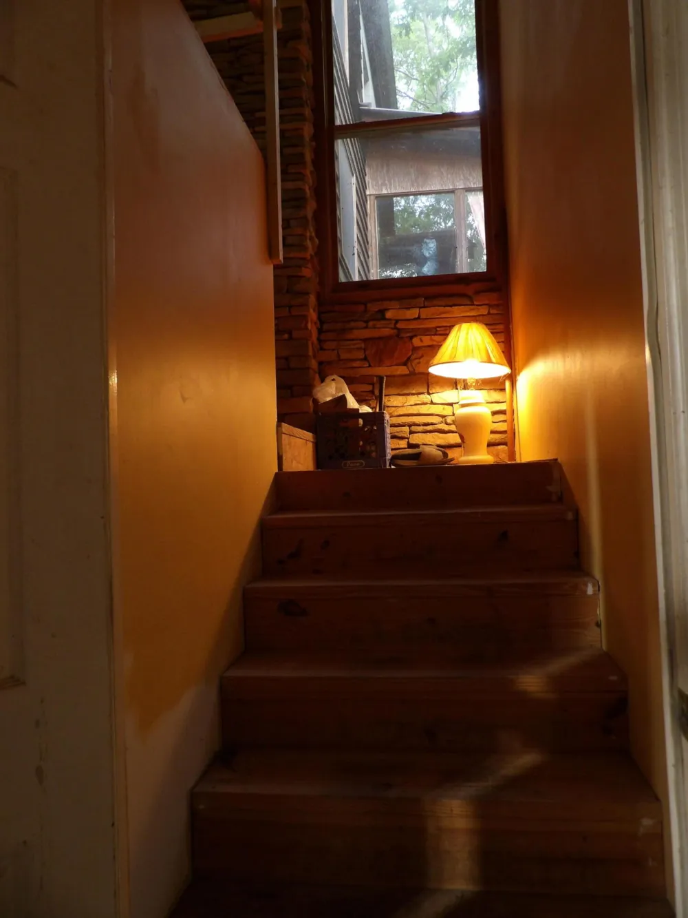 527 Black Mountain Mountain E Dunlap, TN 37327
