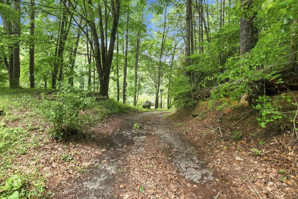 Tessentee Road Franklin, NC 28734