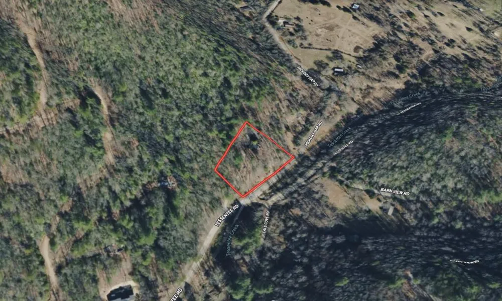 Tessentee Road Franklin, NC 28734