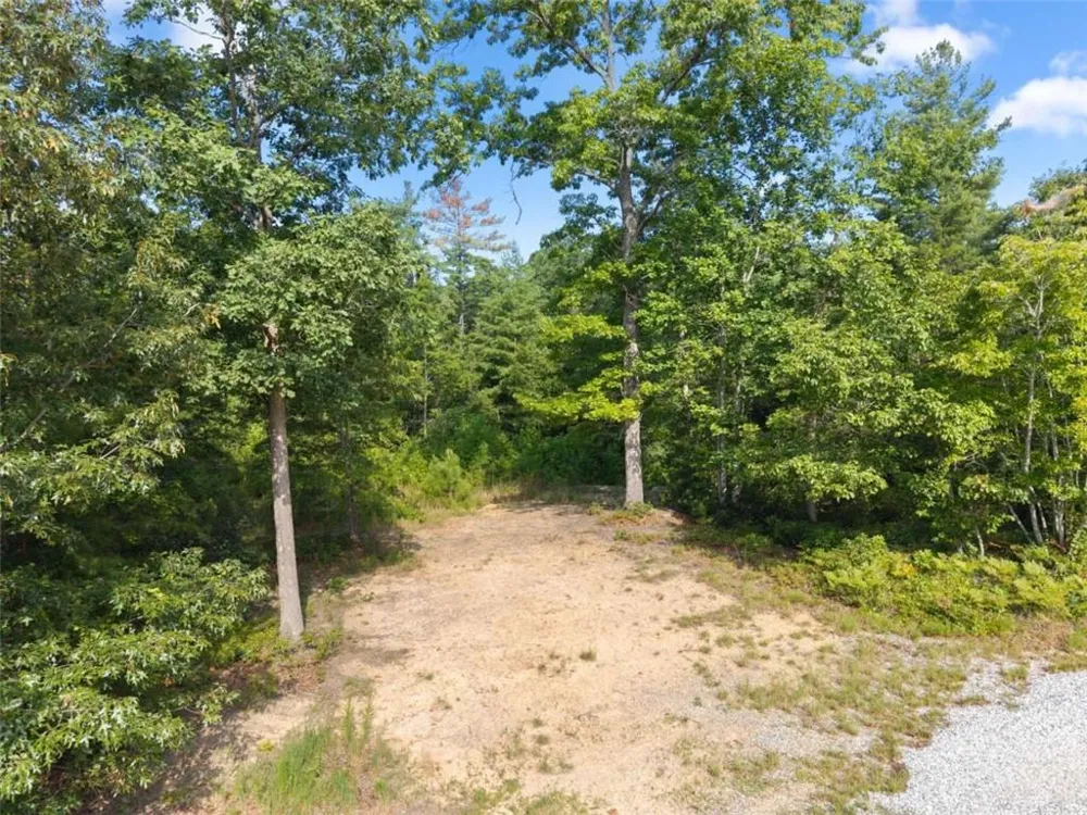 4061 Historic Old Highway 441 Clarkesville, GA 30523