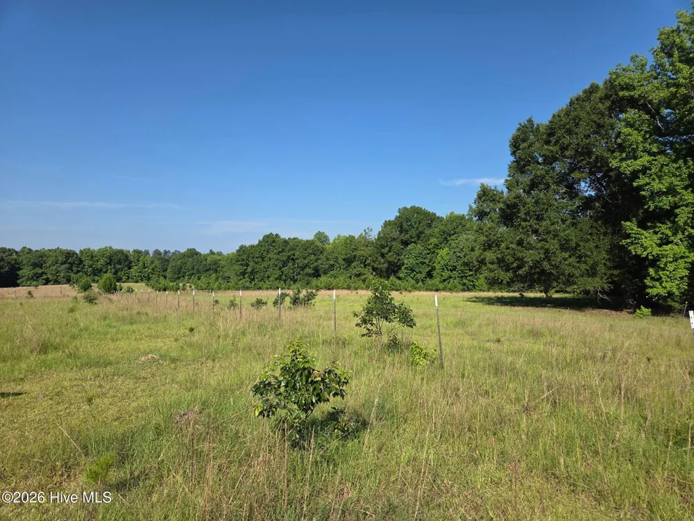 0 Rocky Branch Church Road Norwood, GA 30821