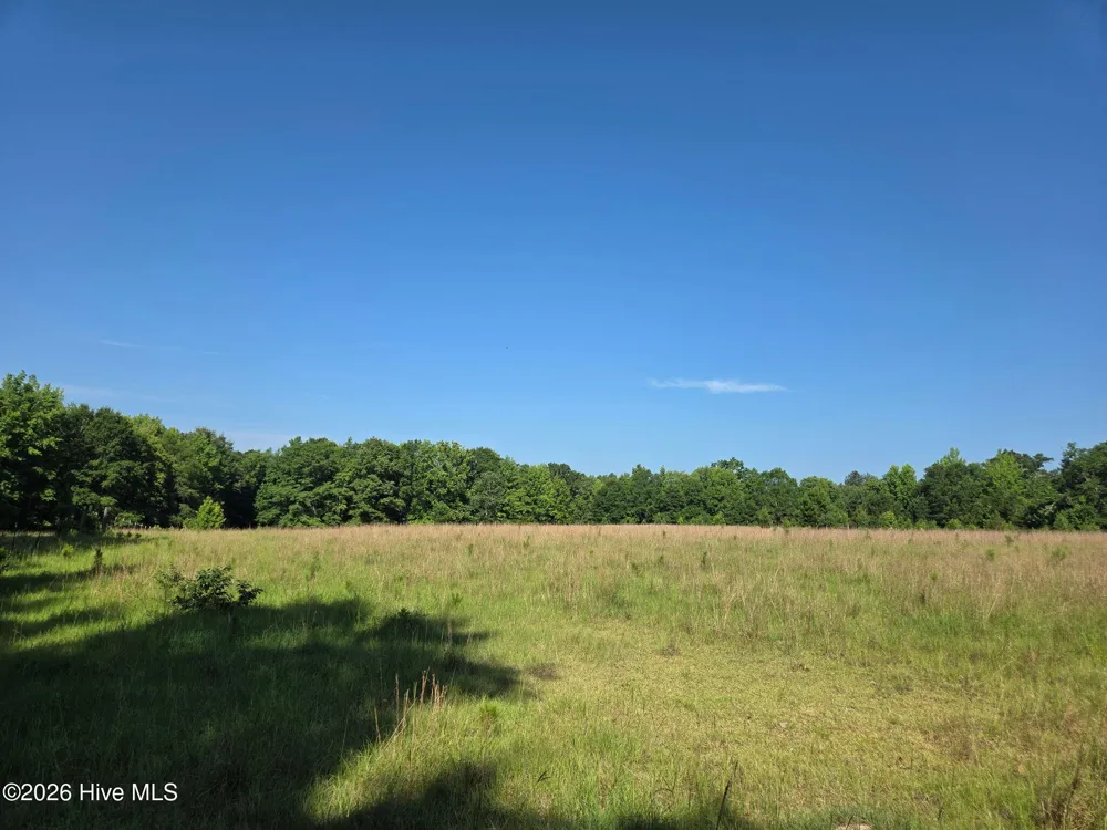 0 Rocky Branch Church Road Norwood, GA 30821