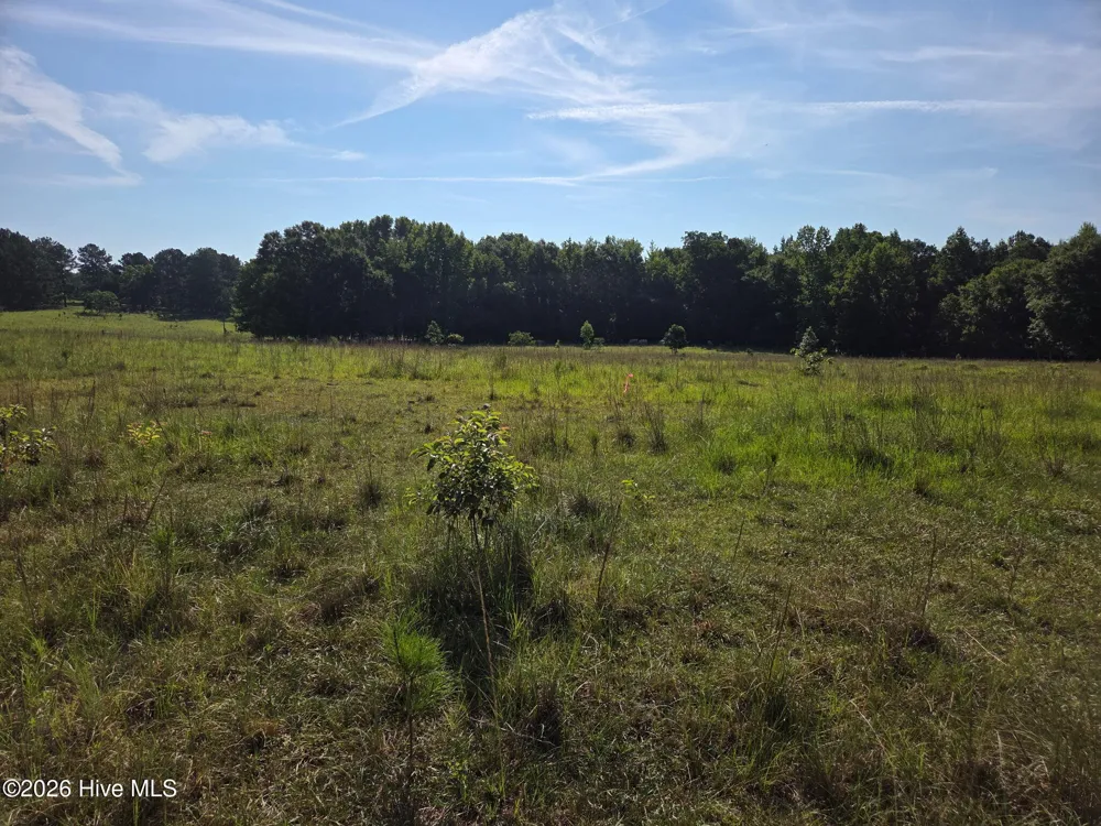 0 Rocky Branch Church Road Norwood, GA 30821