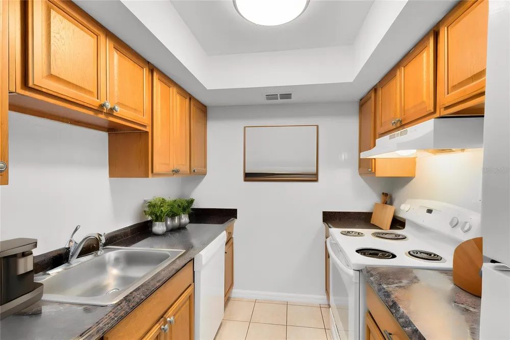 1040 S BUENA VISTA DRIVE #1040 Lake Alfred, FL 33850