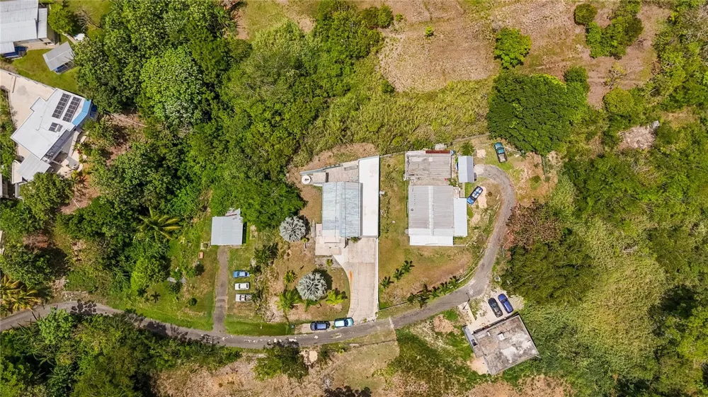 B1 BO UNIBON Morovis, PR 00687