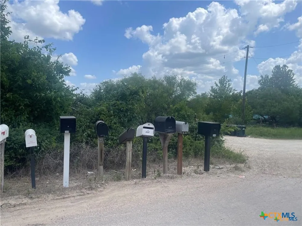 9 Misty Woods Bertram, TX 78605