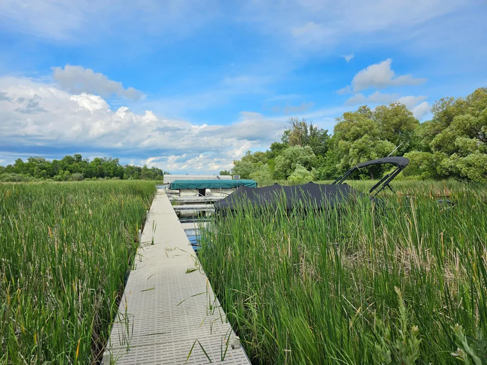 24 Branch Creek Road Detroit Lakes, MN 56501