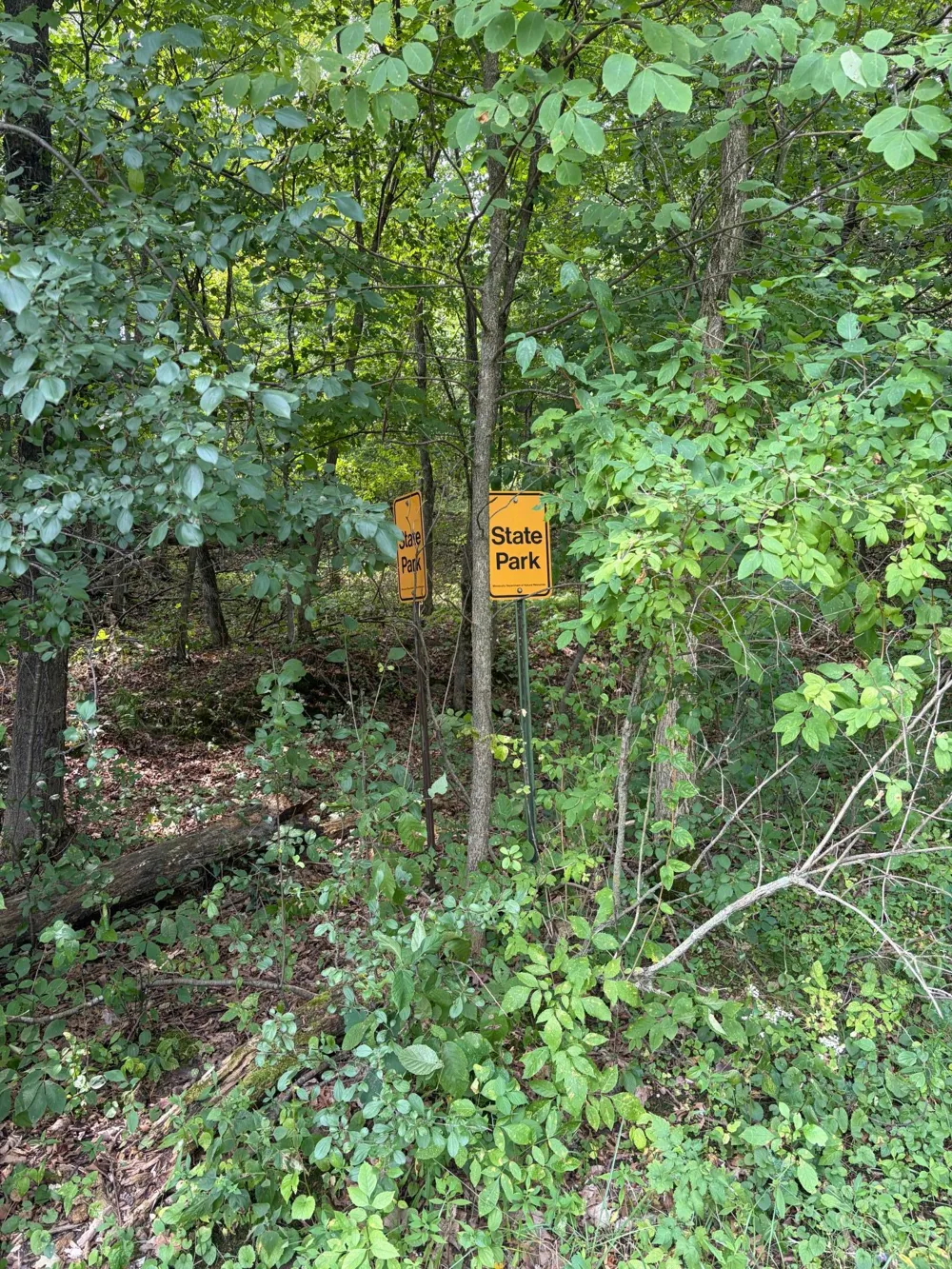 347 Military Road Taylors Falls, MN 55084