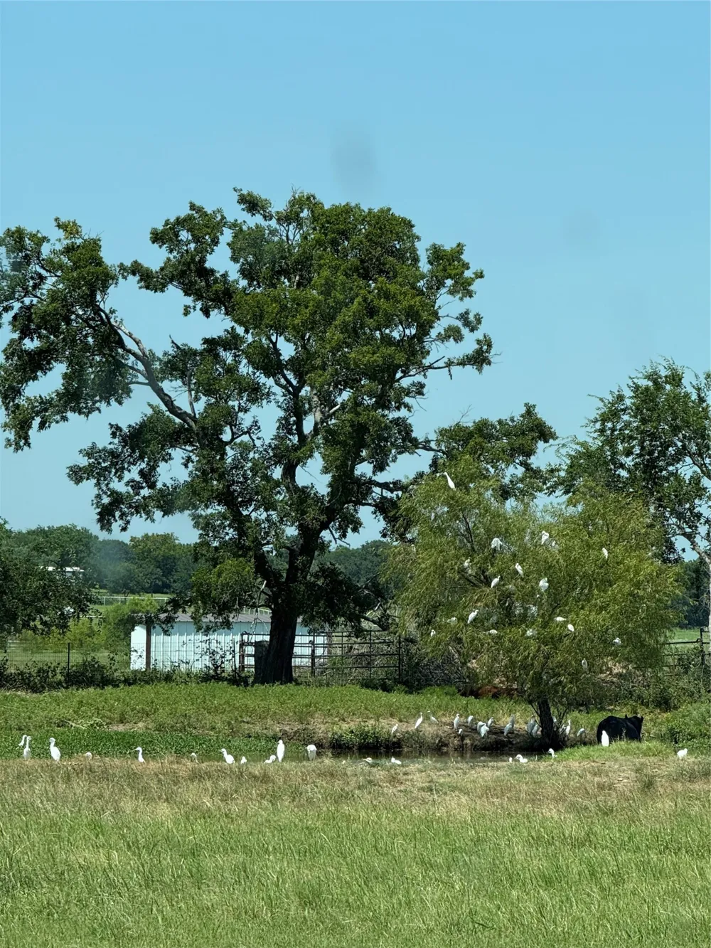 1707 Fm 902 Gainesville, TX 76240