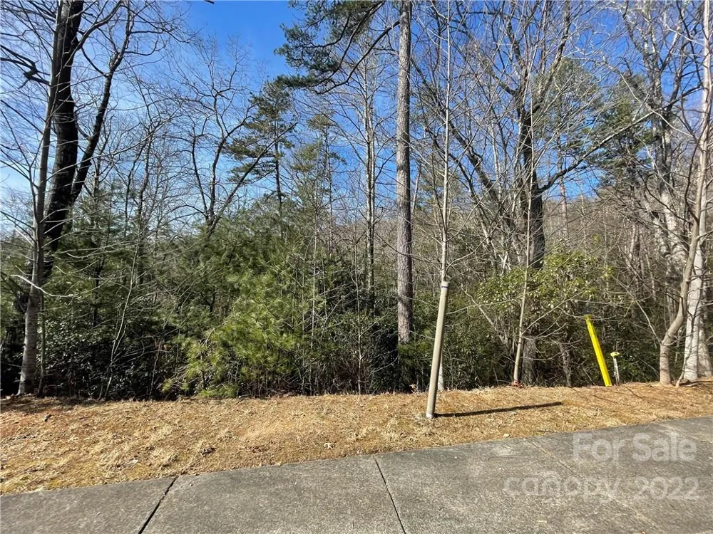 SH11 Springhouse Trail Brevard, NC 28712