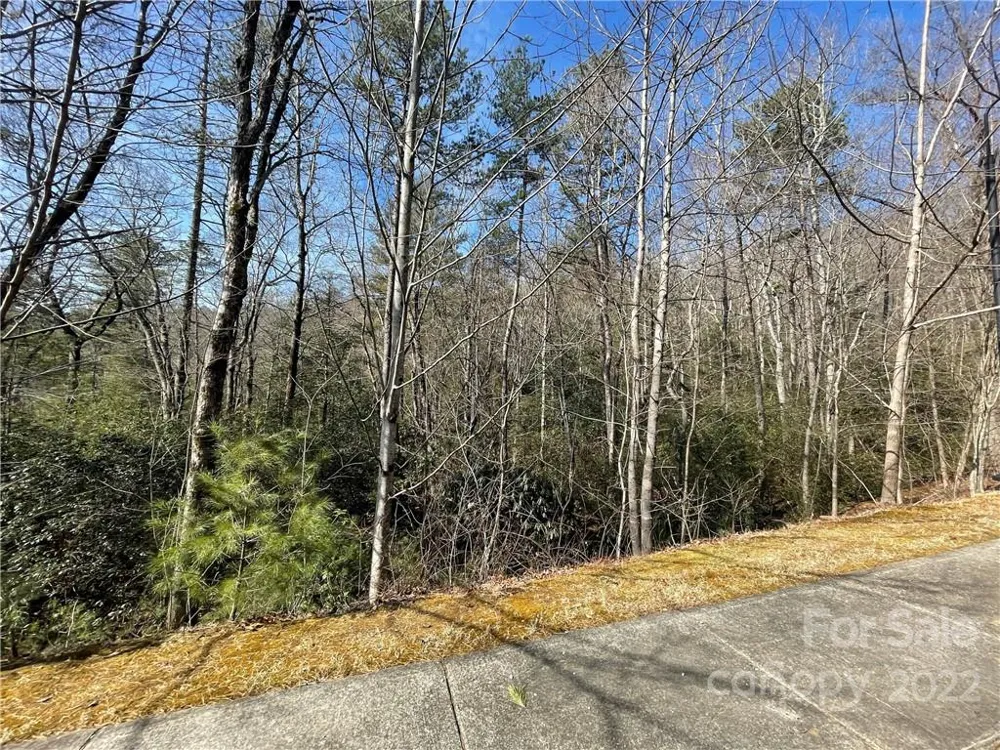 SH11 Springhouse Trail Brevard, NC 28712