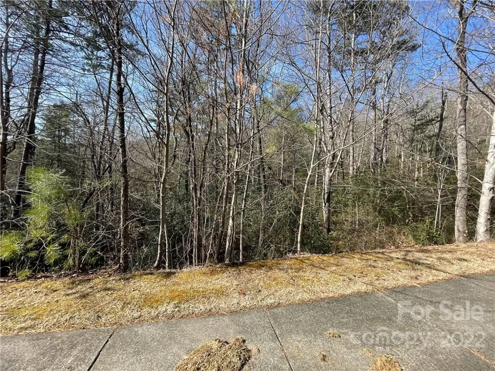 SH11 Springhouse Trail Brevard, NC 28712