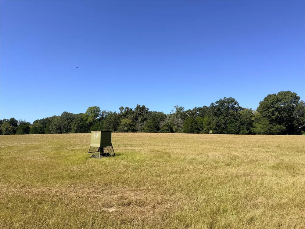 26457 Fm 831 Buffalo, TX 75831