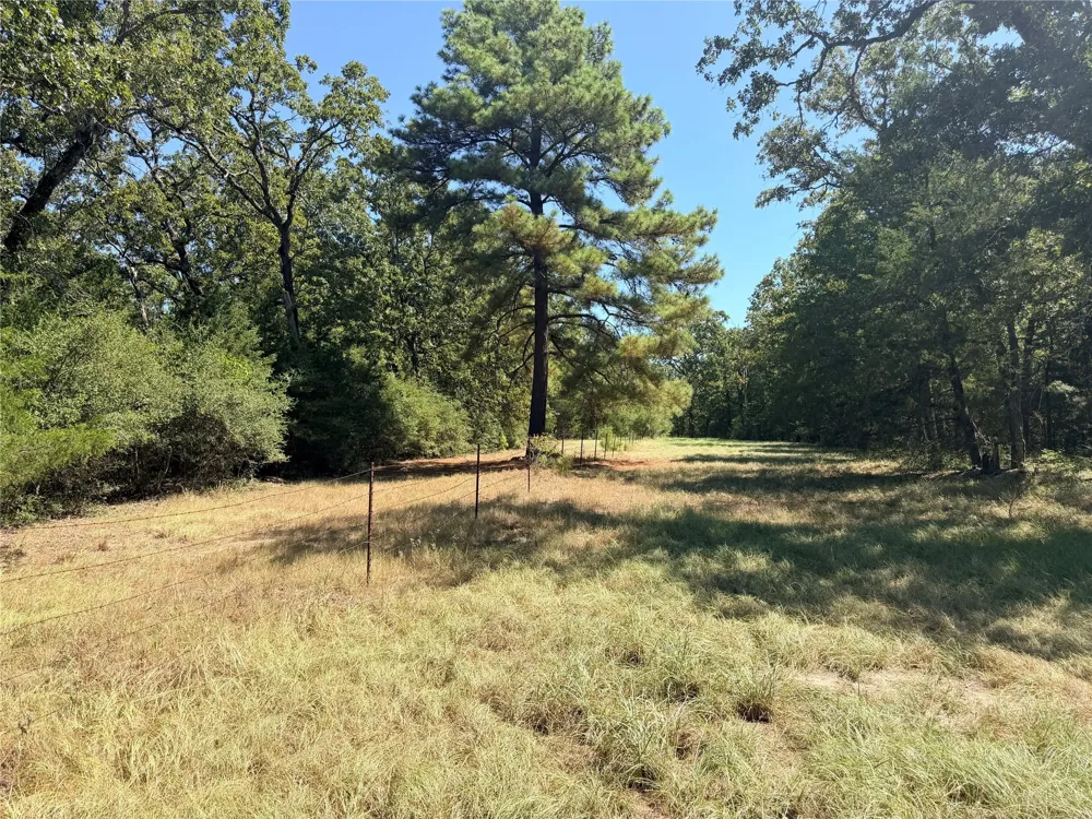 26457 Fm 831 Buffalo, TX 75831