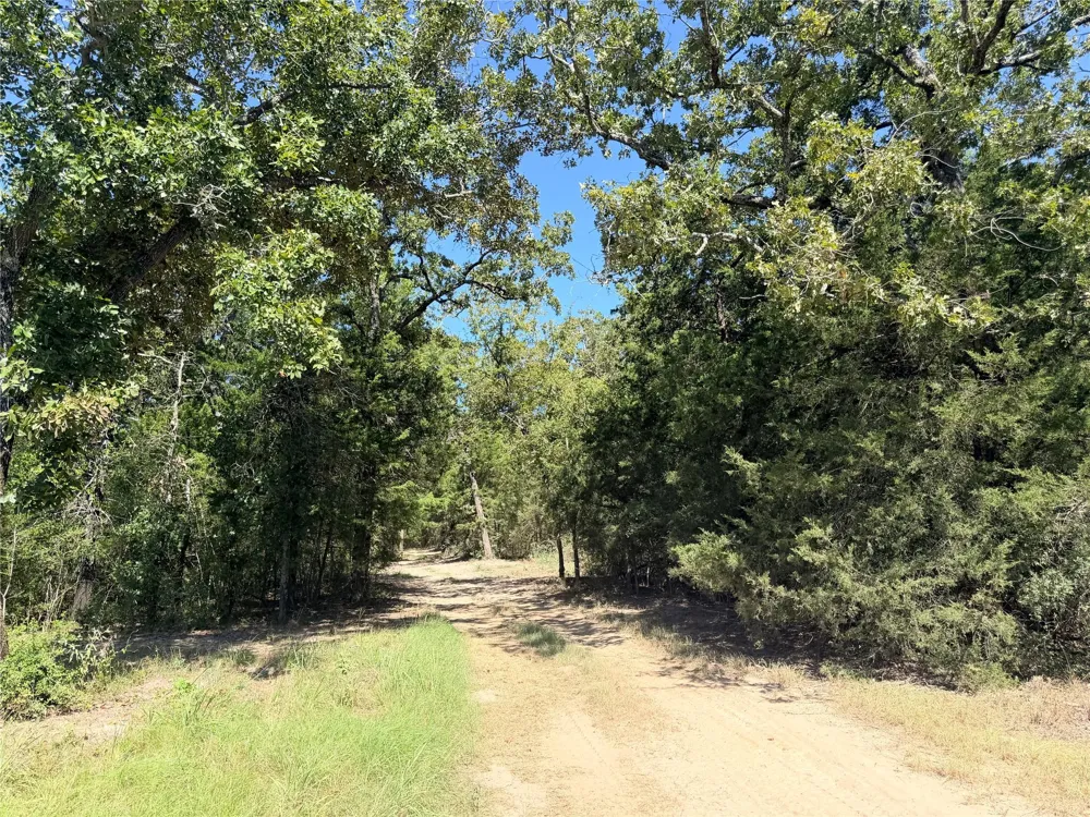 26457 Fm 831 Buffalo, TX 75831