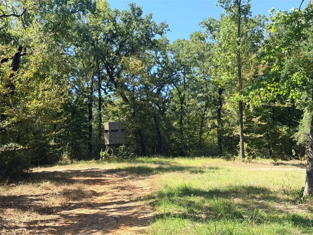 26457 Fm 831 Buffalo, TX 75831