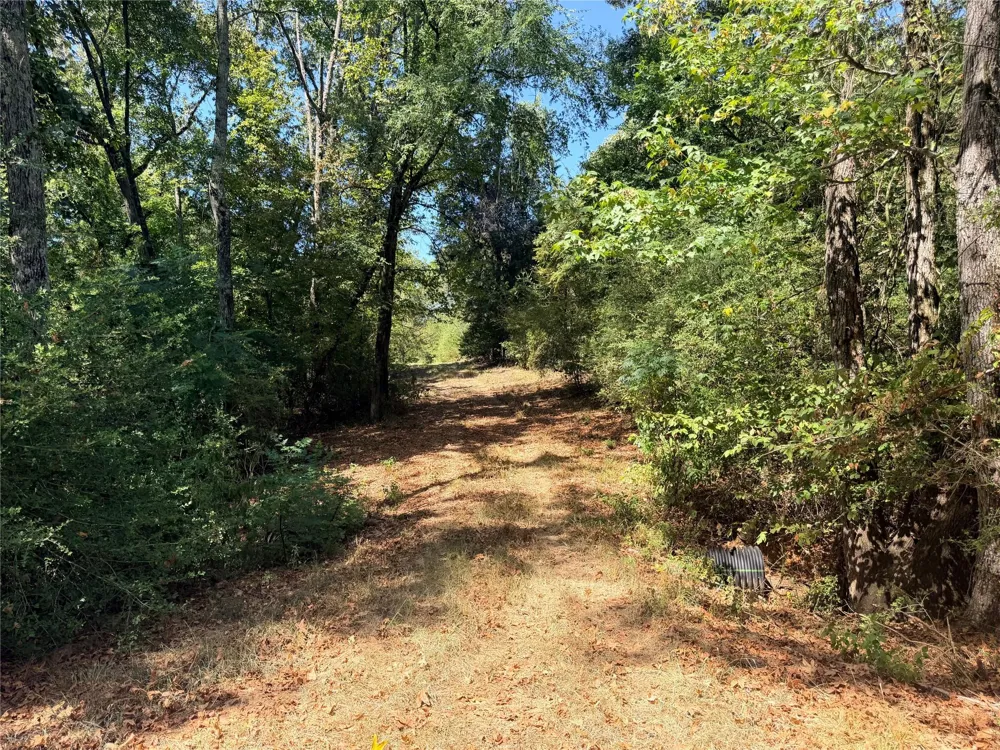 26457 Fm 831 Buffalo, TX 75831