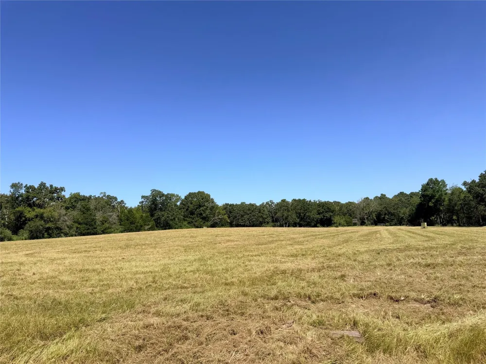 26457 Fm 831 Buffalo, TX 75831