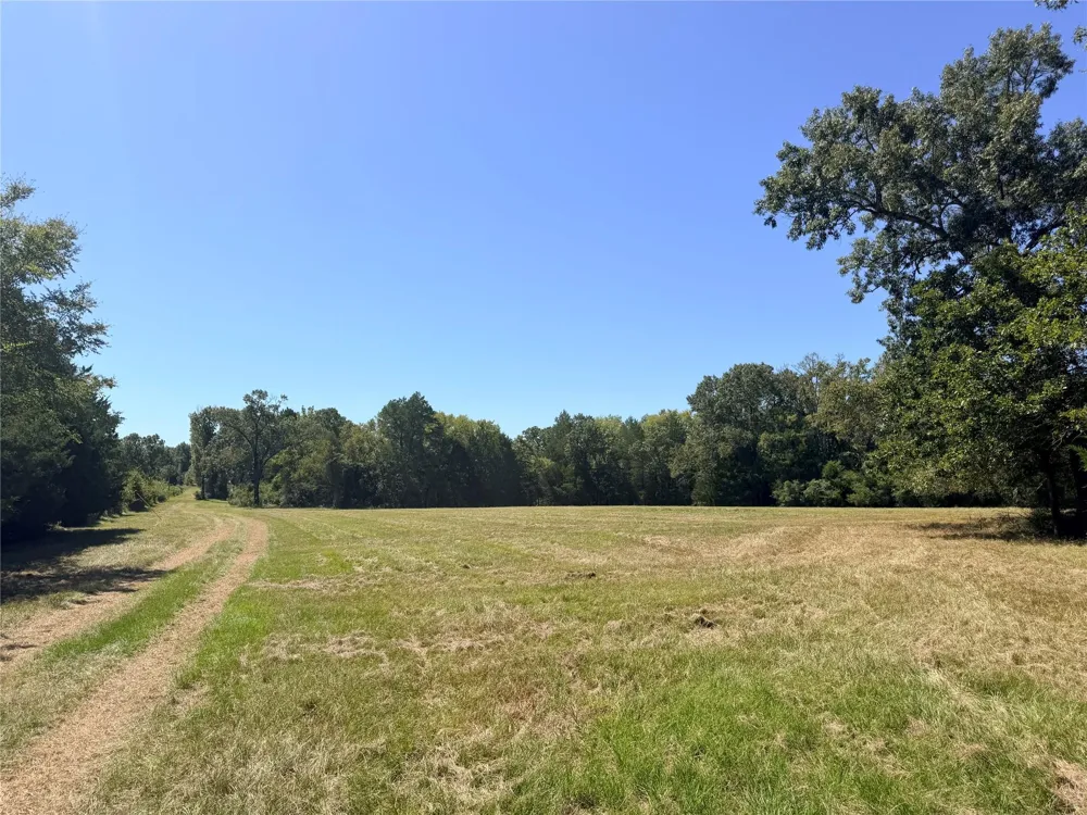 26457 Fm 831 Buffalo, TX 75831