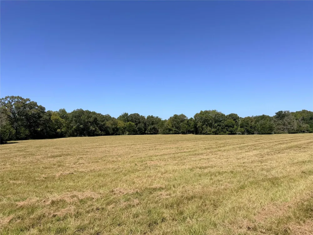 26457 Fm 831 Buffalo, TX 75831