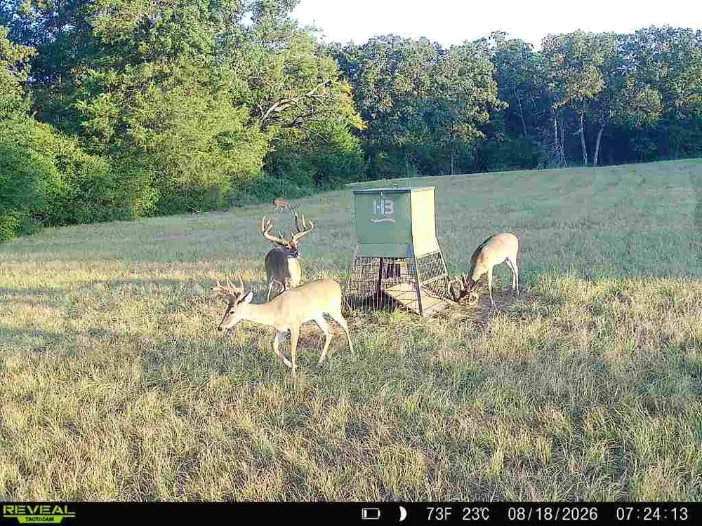 26457 Fm 831 Buffalo, TX 75831