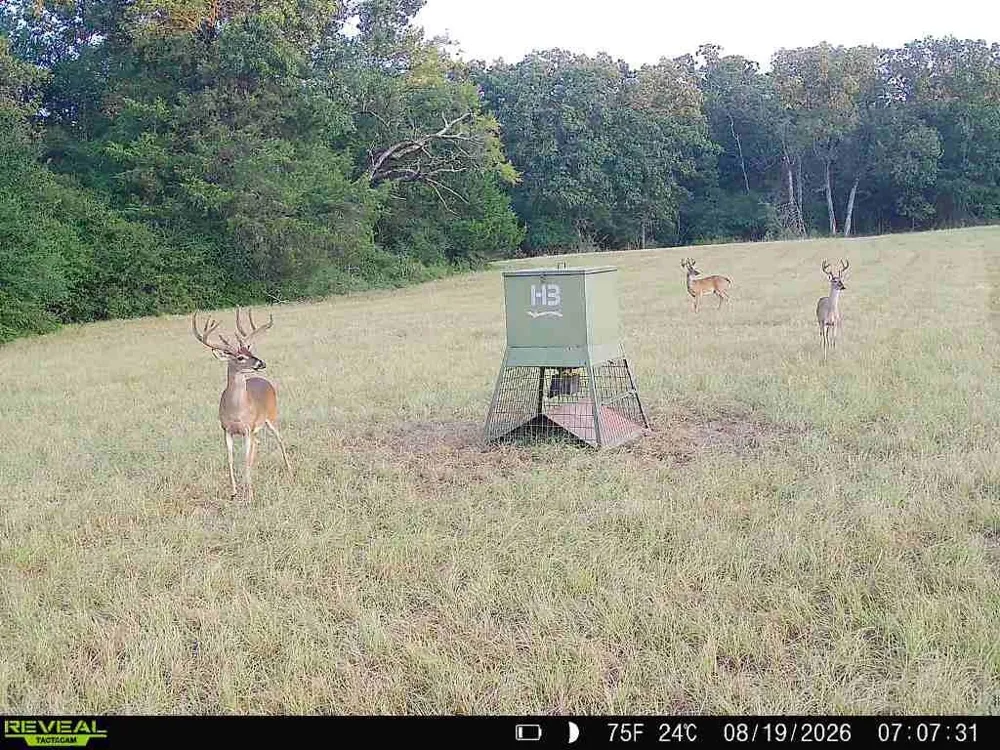 26457 Fm 831 Buffalo, TX 75831