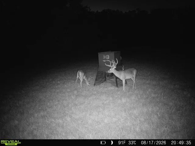 26457 Fm 831 Buffalo, TX 75831