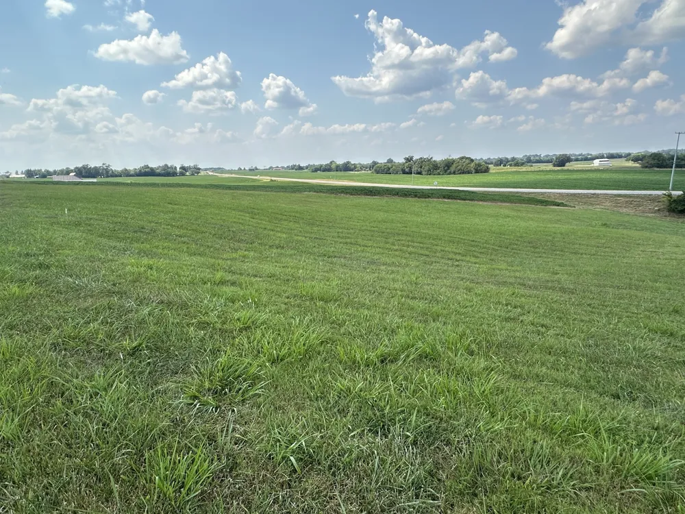 0 Dunn Rd Cedar Hill, TN 37032
