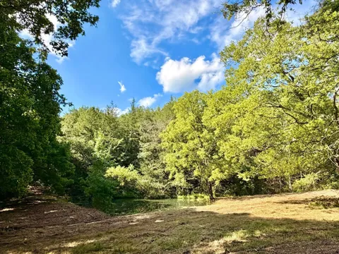 877 Hanna Branch Rd