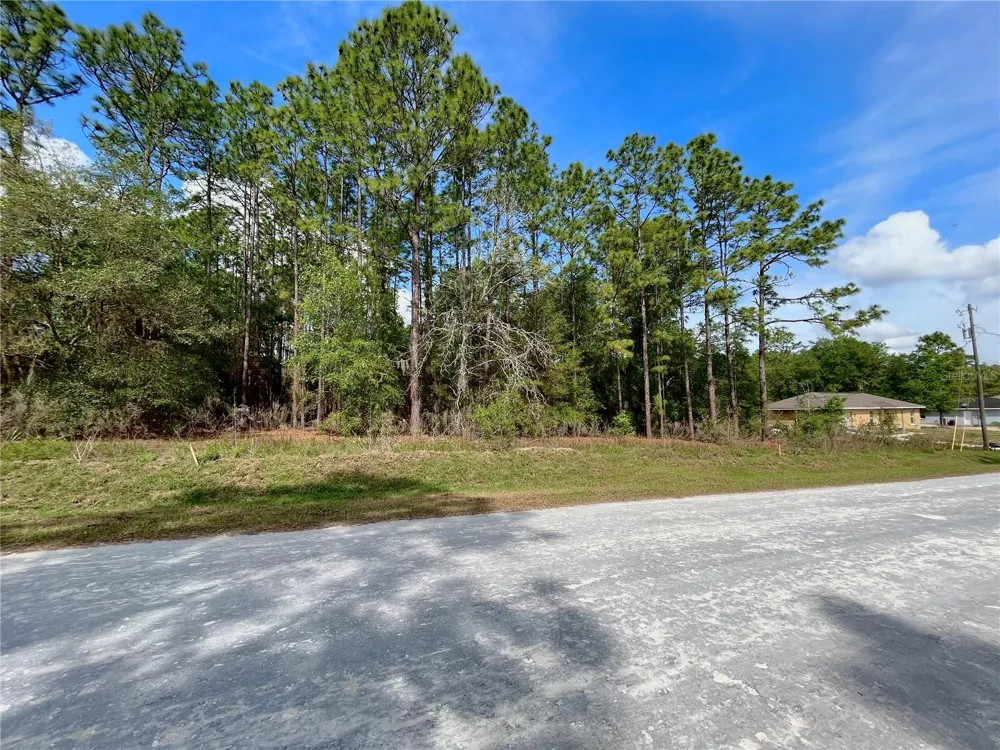 0 SW 140TH COURT ocala, FL 34481