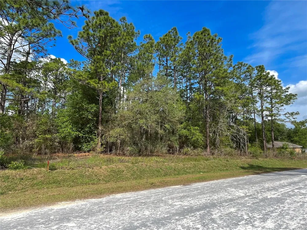 0 SW 140TH COURT ocala, FL 34481