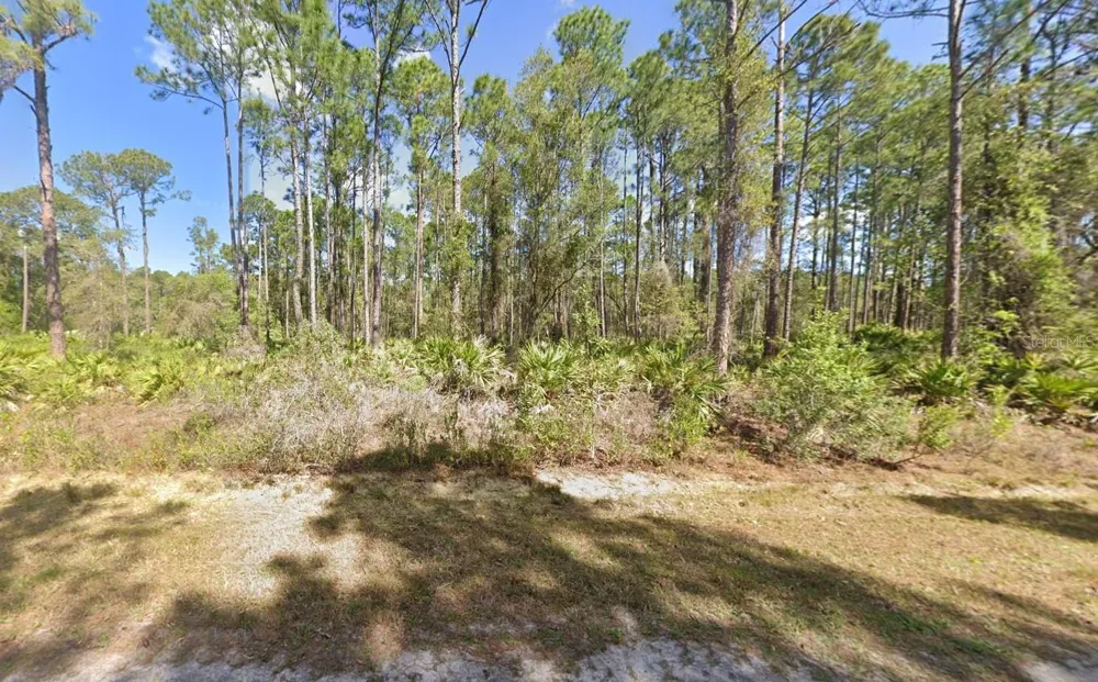 222 MARIE AVENUE Georgetown, FL 32139